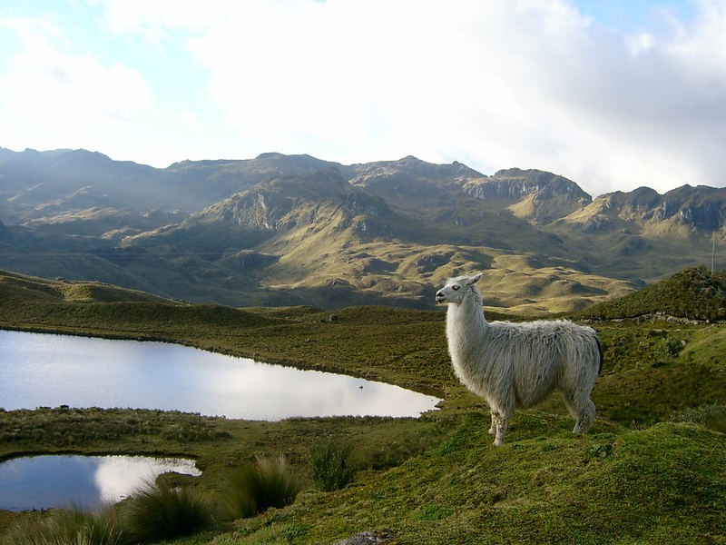 An Endless Ecuador