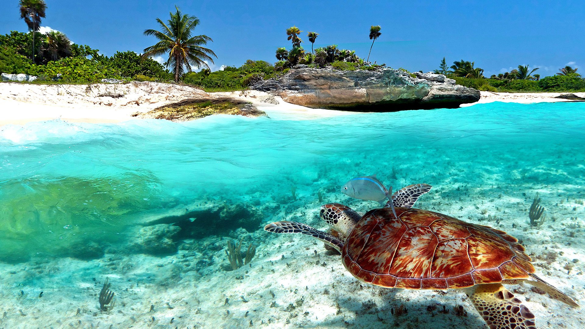 Another Side of Playa del Carmen