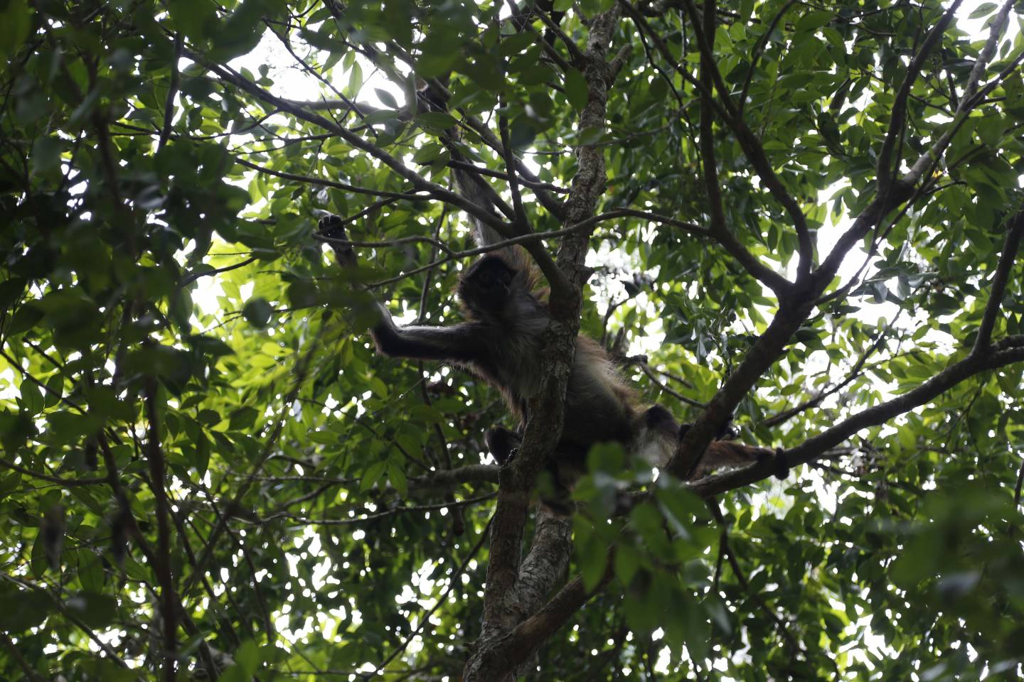 Wild Mexico Awaits at Riviera Maya Botanical Garden